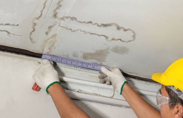 Reliable Mold Remediation contractor in Sunset, ME by Water Damage Irwin